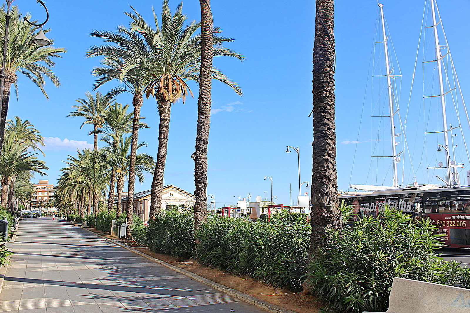 Promenade en jachthaven van Dénia met palmbomen en uitzicht op zee aan de Costa Blanca Noord.