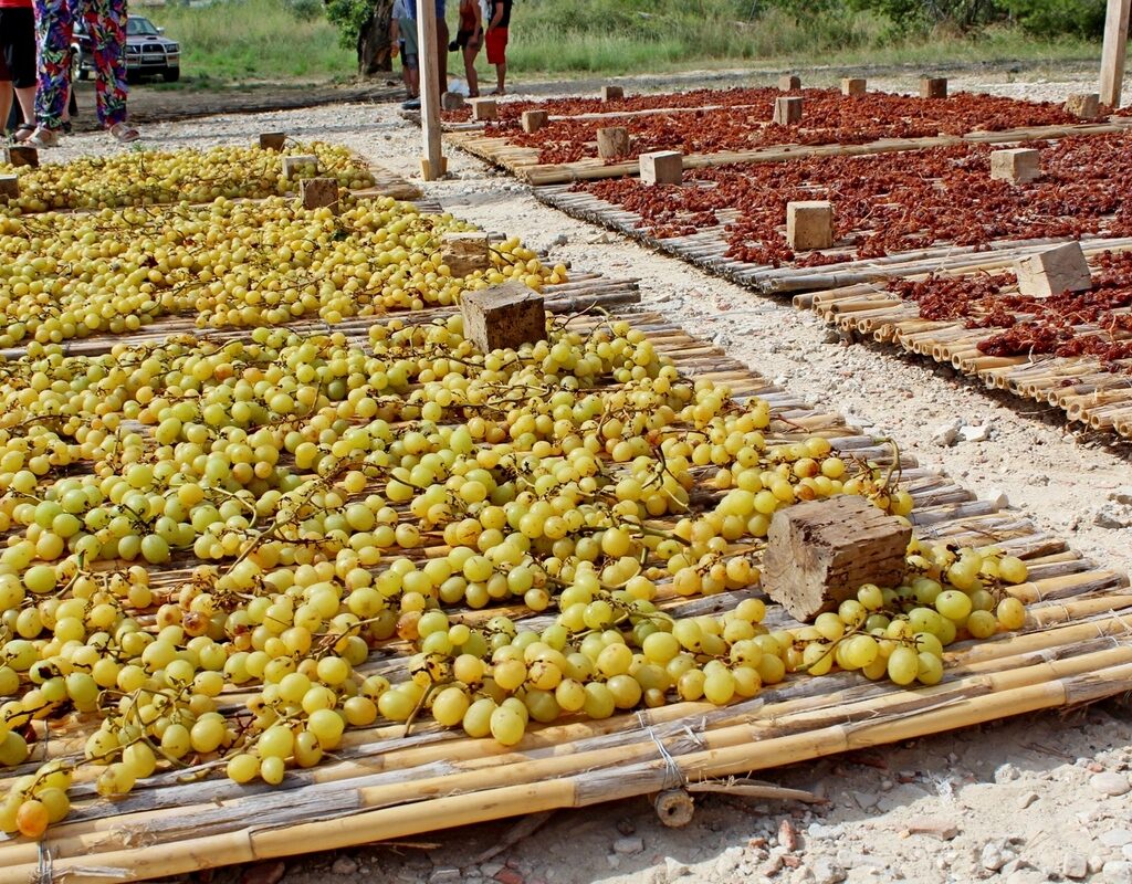 Traditionele rozijnenproductie in Jalón in de Costa Blanca Noord