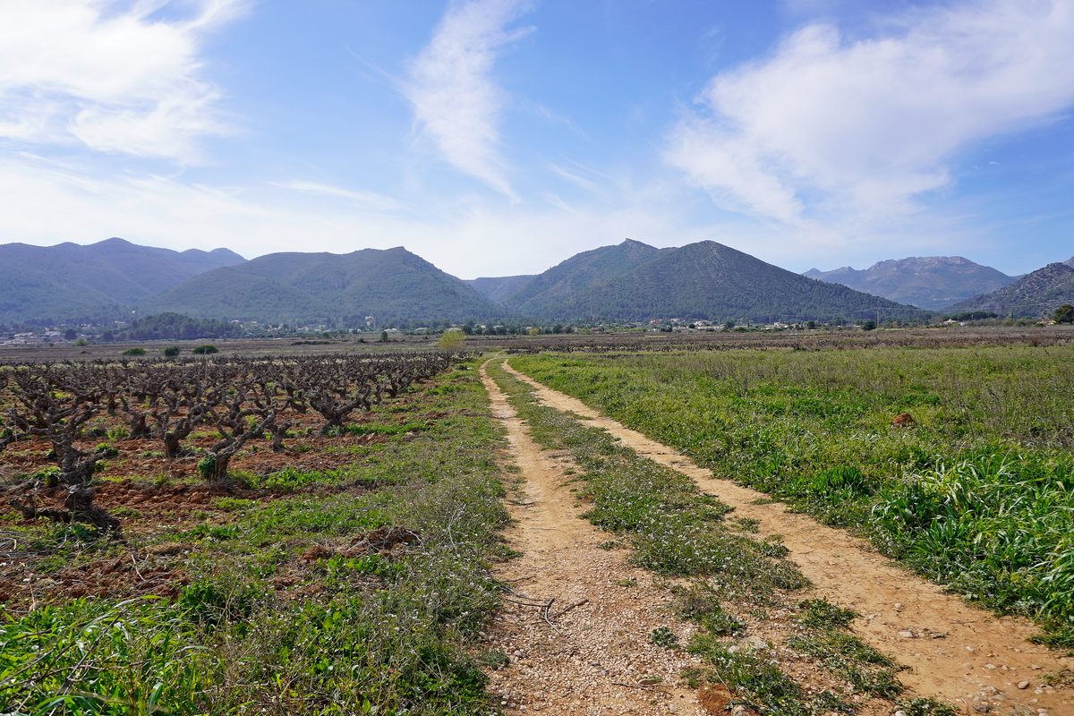 Jalón vallei (Vall de Pop) met wijngaarden en bergen in Costa Blanca Noord
